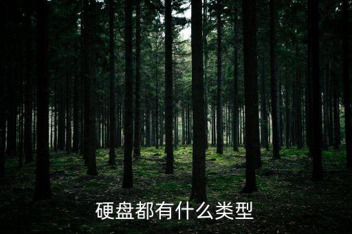 硬盤(pán)類(lèi)型，硬盤(pán)主要分哪幾種類(lèi)型那種比較經(jīng)常使用