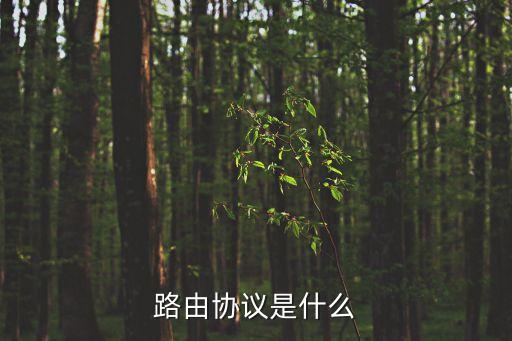 路由協(xié)議是什么