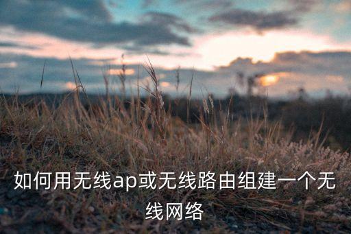 如何用無(wú)線ap或無(wú)線路由組建一個(gè)無(wú)線網(wǎng)絡(luò)