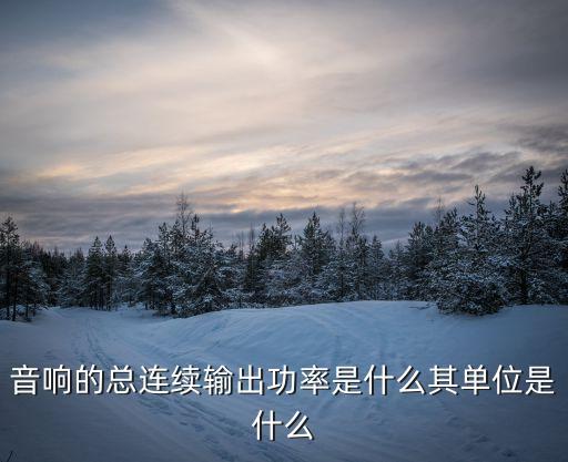 音響的總連續(xù)輸出功率是什么其單位是什么
