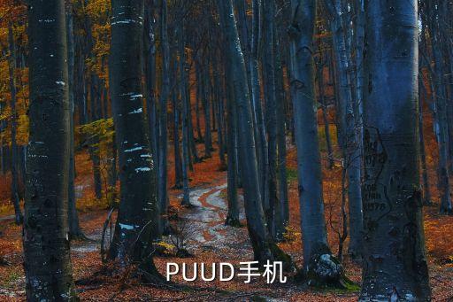 全息手機，PUUD手機