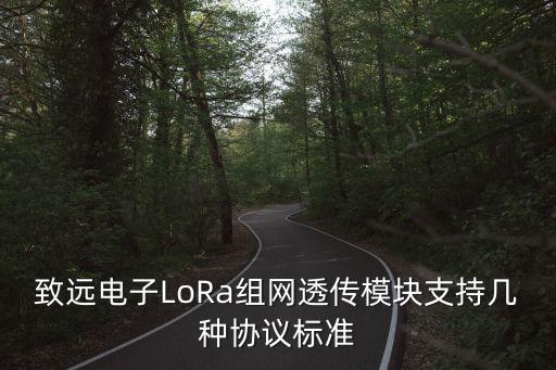 致遠(yuǎn)電子，致遠(yuǎn)電子LoRa組網(wǎng)透傳模塊支持幾種協(xié)議標(biāo)準(zhǔn)