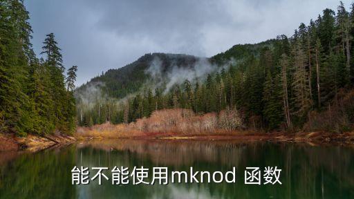 能不能使用mknod 函數(shù)