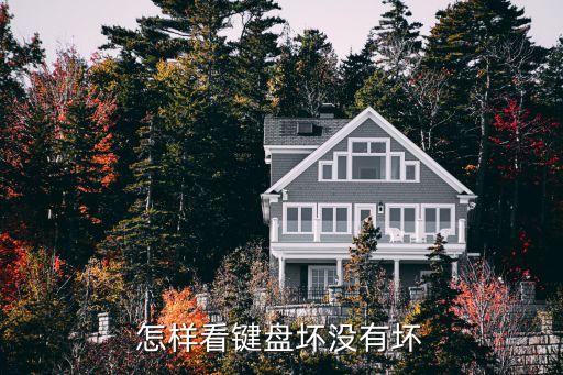 怎樣看鍵盤壞沒有壞