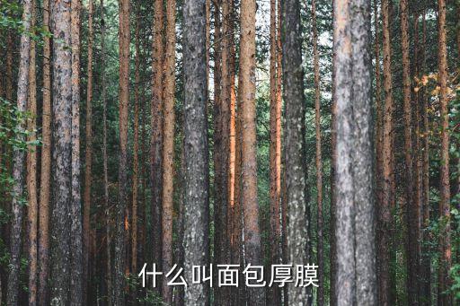 什么叫面包厚膜