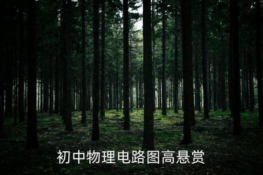 初中物理電路圖高懸賞