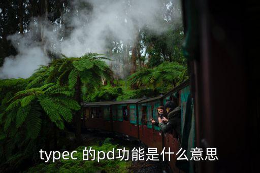 typec 的pd功能是什么意思