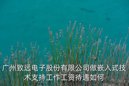 廣州致遠(yuǎn)電子股份有限公司做嵌入式技術(shù)支持工作工資待遇如何