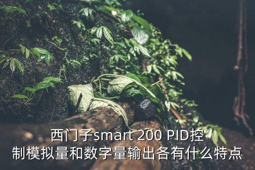 西門子smart 200 PID控制模擬量和數(shù)字量輸出各有什么特點