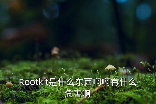 rootkit，rootkit是什么東西