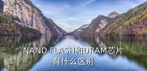 NAND FLASH和DRAM芯片有什么區(qū)別