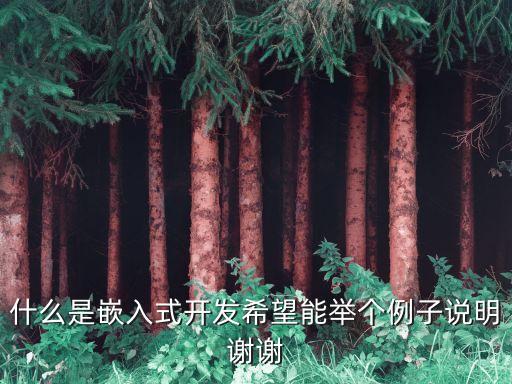 什么是嵌入式開發(fā)希望能舉個例子說明謝謝