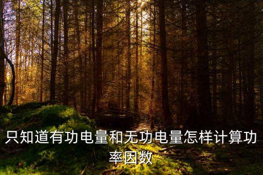 只知道有功電量和無功電量怎樣計(jì)算功率因數(shù)