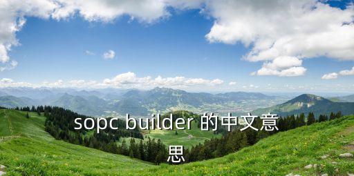 片上系統(tǒng)，sopc builder 的中文意思