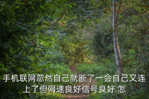 手機聯(lián)網(wǎng)忽然自己就斷了一會自己又連上了但網(wǎng)速良好信號良好 怎