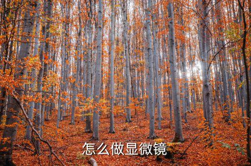 自制顯微鏡，如何自制顯微鏡