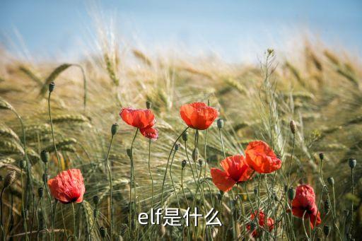 elf是什么
