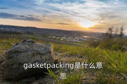 gasketpacking是什么意思