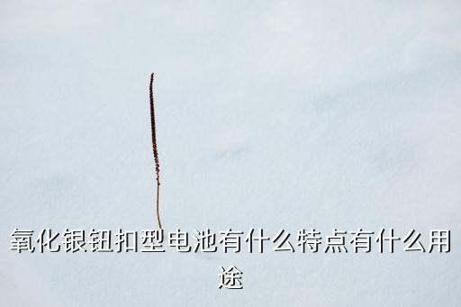 氧化銀鈕扣型電池有什么特點(diǎn)有什么用途