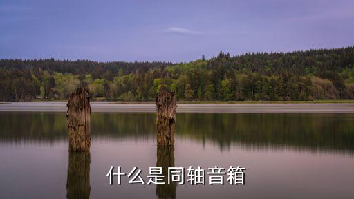 什么是同軸音箱