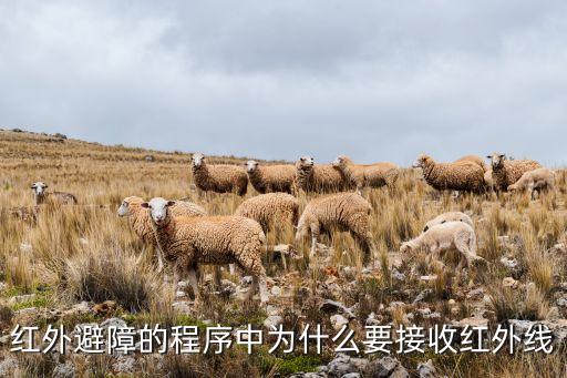 避障，紅外避障的程序中為什么要接收紅外線