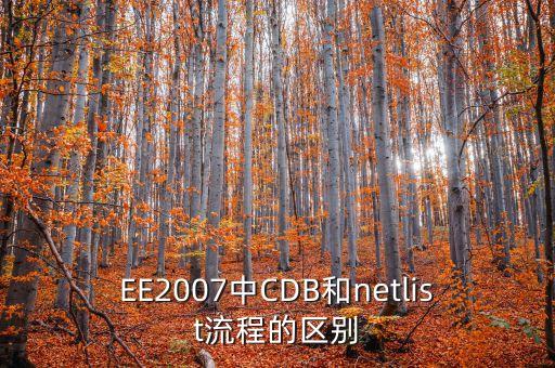 EE2007中CDB和netlist流程的區(qū)別