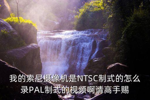 我的索尼攝像機(jī)是NTSC制式的怎么錄PAL制式的視頻啊請(qǐng)高手賜
