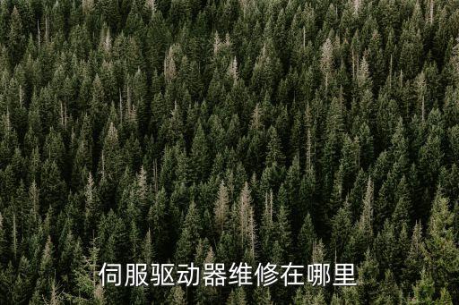 伺服驅(qū)動(dòng)器維修在哪里