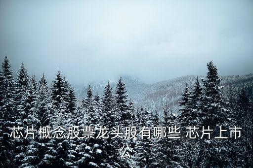 芯片概念股票龍頭股有哪些 芯片上市公
