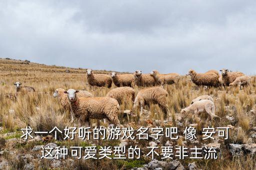 安可替代，洗衣機6綫定時器75安可代替35嗎