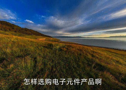 電子元器件購(gòu)買，怎樣選購(gòu)電子元件產(chǎn)品啊