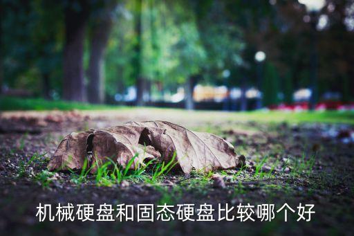 機(jī)械硬盤和固態(tài)硬盤比較哪個(gè)好