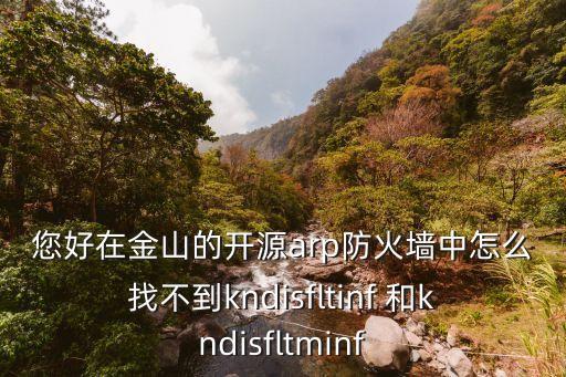 您好在金山的開源arp防火墻中怎么找不到kndisfltinf 和kndisfltminf