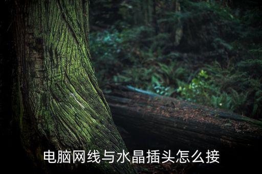 電腦網(wǎng)線與水晶插頭怎么接