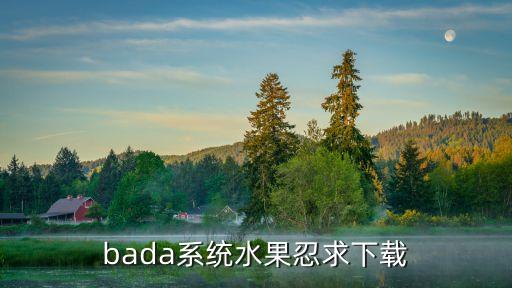 bada系統(tǒng)水果忍求下載