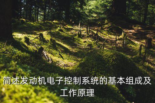 汽車電子控制系統(tǒng)，汽車的電控系統(tǒng)都有哪些都有什么作用