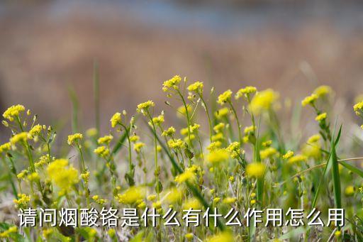 請(qǐng)問(wèn)煙酸鉻是什么有什么作用怎么用
