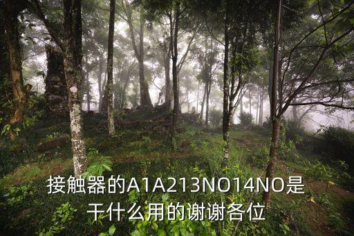 接觸器的A1A213NO14NO是干什么用的謝謝各位