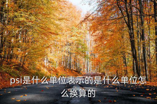psi是什么單位表示的是什么單位怎么換算的