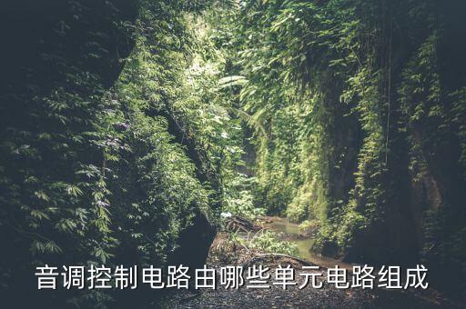 音調(diào)控制電路由哪些單元電路組成