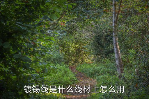 鍍錫銅線，銅線為什么鍍錫
