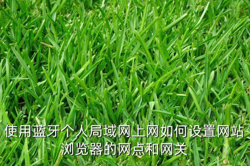 使用藍(lán)牙個(gè)人局域網(wǎng)上網(wǎng)如何設(shè)置網(wǎng)站瀏覽器的網(wǎng)點(diǎn)和網(wǎng)關(guān)
