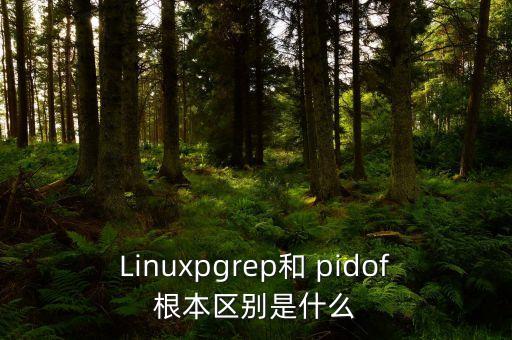 pidof，Linuxpgrep和 pidof根本區(qū)別是什么