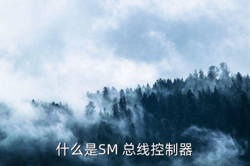 什么是SM 總線控制器