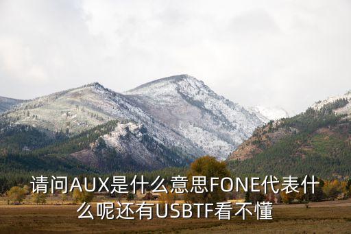 請(qǐng)問(wèn)AUX是什么意思FONE代表什么呢還有USBTF看不懂