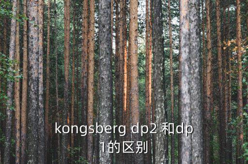 kongsberg dp2 和dp1的區(qū)別