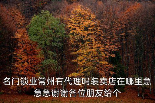 名門鎖業(yè)，名門鎖業(yè)常州有代理嗎裝賣店在哪里急急急謝謝各位朋友給個(gè)