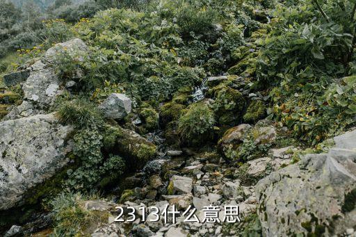 2313什么意思