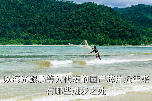 以海光鯤鵬等為代表的國產(chǎn)芯片近年來有哪些進步之處