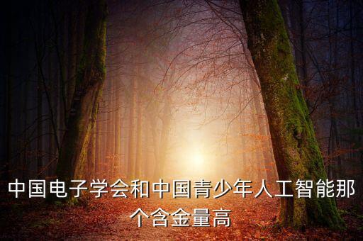 中國電子學(xué)會，中國電子學(xué)會 電子設(shè)計初級工程師是不是騙人的謝了